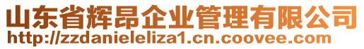 山東省輝昂企業(yè)管理有限公司