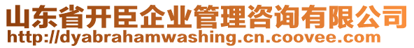 山東省開(kāi)臣企業(yè)管理咨詢有限公司