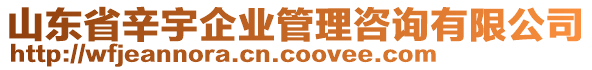 山東省辛宇企業(yè)管理咨詢有限公司