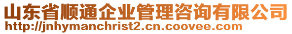 山東省順通企業(yè)管理咨詢(xún)有限公司