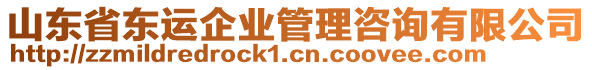 山東省東運(yùn)企業(yè)管理咨詢有限公司