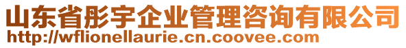 山東省彤宇企業(yè)管理咨詢有限公司