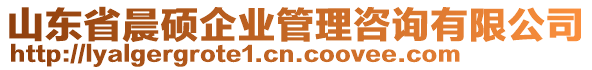 山東省晨碩企業(yè)管理咨詢有限公司