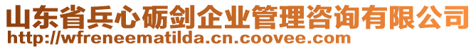 山東省兵心礪劍企業(yè)管理咨詢有限公司