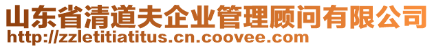 山東省清道夫企業(yè)管理顧問有限公司