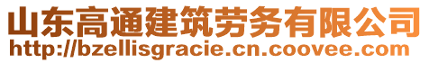 山東高通建筑勞務有限公司