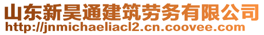 山東新昊通建筑勞務(wù)有限公司