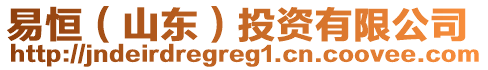 易恒（山東）投資有限公司