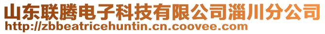 山東聯(lián)騰電子科技有限公司淄川分公司