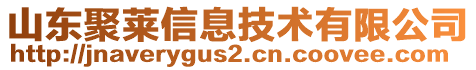 山東聚萊信息技術有限公司