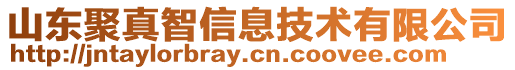山東聚真智信息技術(shù)有限公司