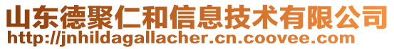 山東德聚仁和信息技術有限公司