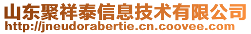 山東聚祥泰信息技術有限公司