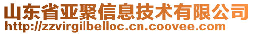 山東省亞聚信息技術(shù)有限公司