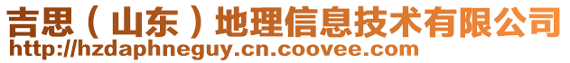 吉思（山東）地理信息技術有限公司