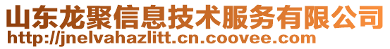 山東龍聚信息技術(shù)服務(wù)有限公司
