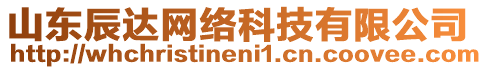 山東辰達網絡科技有限公司
