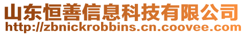 山東恒善信息科技有限公司