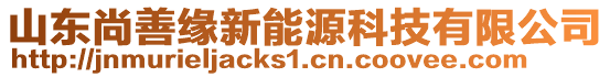 山東尚善緣新能源科技有限公司