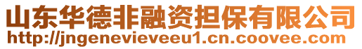 山東華德非融資擔保有限公司