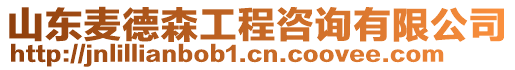山東麥德森工程咨詢有限公司