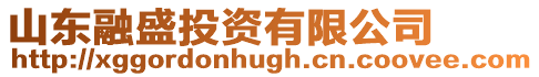 山東融盛投資有限公司