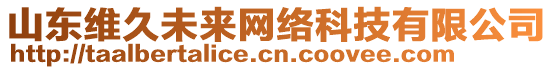 山東維久未來網絡科技有限公司