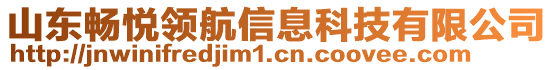 山東暢悅領(lǐng)航信息科技有限公司