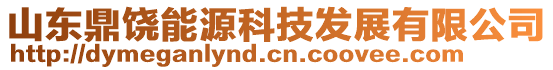 山東鼎饒能源科技發(fā)展有限公司