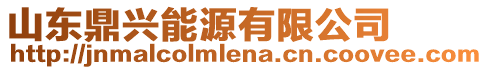 山東鼎興能源有限公司