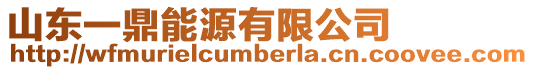 山東一鼎能源有限公司
