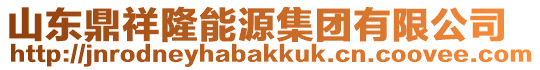 山東鼎祥隆能源集團有限公司