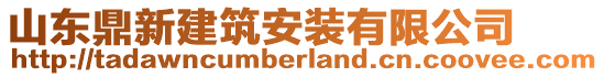 山東鼎新建筑安裝有限公司