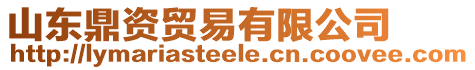 山東鼎資貿易有限公司