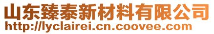 山東臻泰新材料有限公司