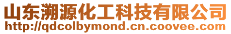 山東溯源化工科技有限公司