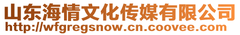 山東海情文化傳媒有限公司