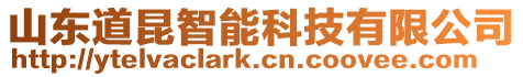 山東道昆智能科技有限公司