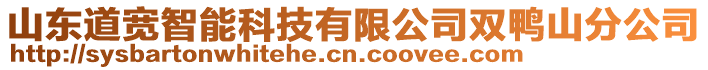 山東道寬智能科技有限公司雙鴨山分公司