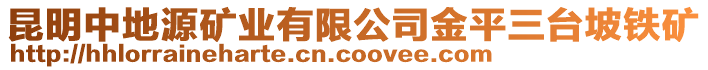 昆明中地源矿业有限公司金平三台坡铁矿