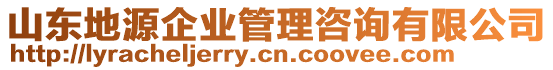 山東地源企業(yè)管理咨詢有限公司