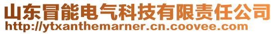 山東冒能電氣科技有限責(zé)任公司