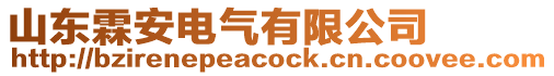 山東霖安電氣有限公司