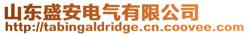 山東盛安電氣有限公司