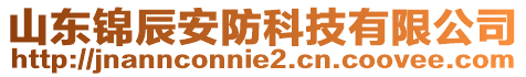 山東錦辰安防科技有限公司