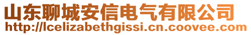 山東聊城安信電氣有限公司