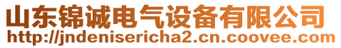 山东锦诚电气设备有限公司