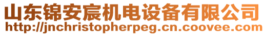 山東錦安宸機電設(shè)備有限公司