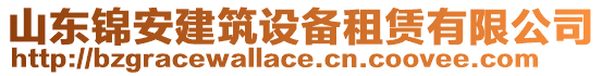 山東錦安建筑設備租賃有限公司