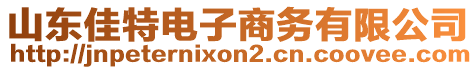 山東佳特電子商務(wù)有限公司